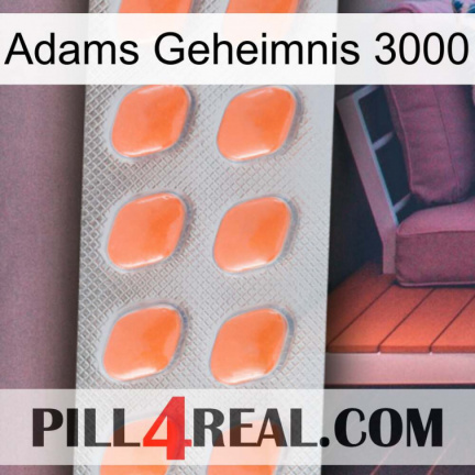 Adams Secret 3000 26